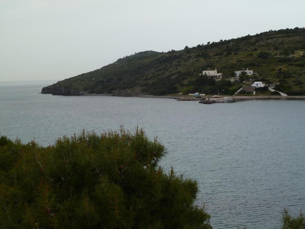 Liberty II Hotel Agia Marina  ภายนอก รูปภาพ